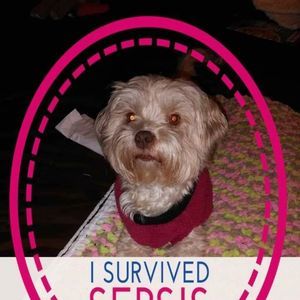 Meet your Posher, Nancyann